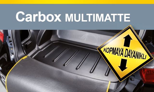 AutON_Carbox10