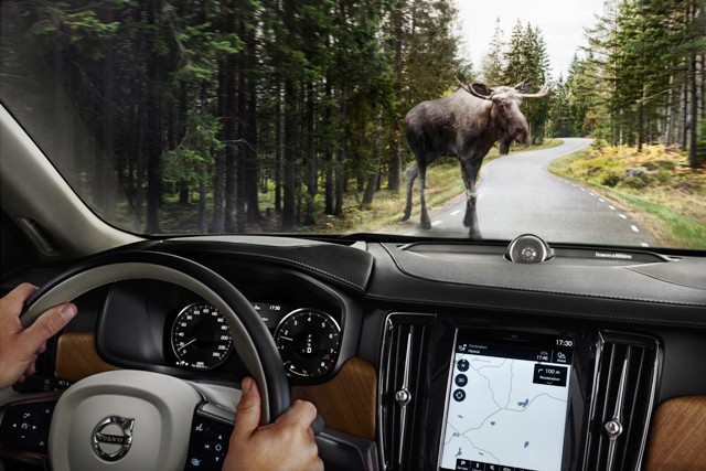 170837_Interior_Large_Animal_Detection_2